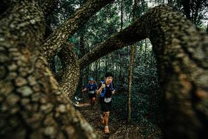 BIB: 
                            <button type="button" onclick="openModal(25671293)" class="btn btn-primary btn-sm float-right btn-popup" data-toggle="modal" data-target=".modal-high-quality">
                        <i class="fas fa-shopping-cart"></i> Add to Cart
                    </button>
                                            <button type="button" onclick="isThisMe(25671293, true)" class="btn btn-success btn-sm float-right btn-popup btn-isme hidden" data-toggle="tooltip" data-placement="bottom" title="นี่คือรูปของคุณใช่ไหม คลิกที่นี่เพื่อเอาเข้าอัลบั้ม">
                        <i class="fas fa-plus"></i> Add to album
                    </button>
                    <button type="button" onclick="isThisMe(25671293, false)" class="btn btn-warning btn-sm float-right btn-popup btn-isnotme hidden">
                        <i class="fas fa-ban"></i> Remove from album
                    </button>